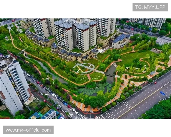 香港女篮NCC公园漫步，绿意中放松身心